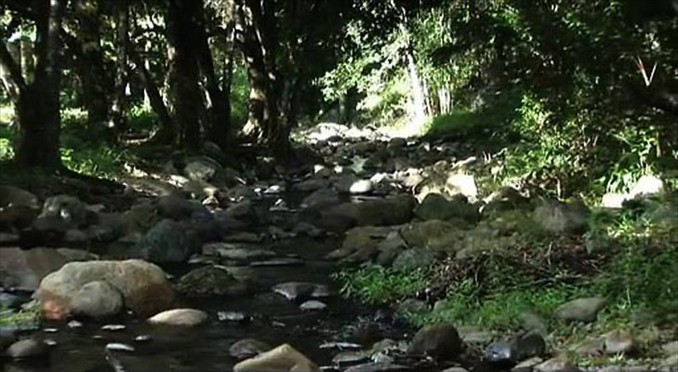 Image courtesy of Tourism New South Wales