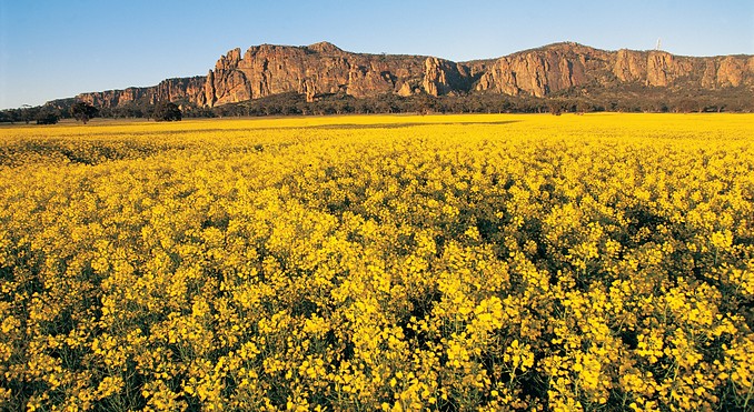 Image courtesy of Tourism Victoria