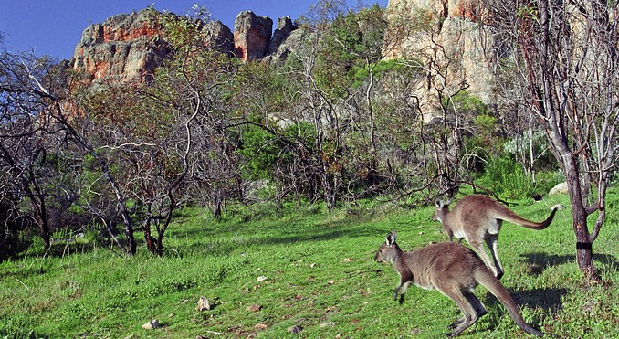 Image courtesy of Tourism Victoria