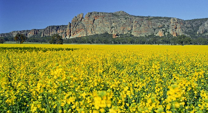 Image courtesy of Tourism Victoria