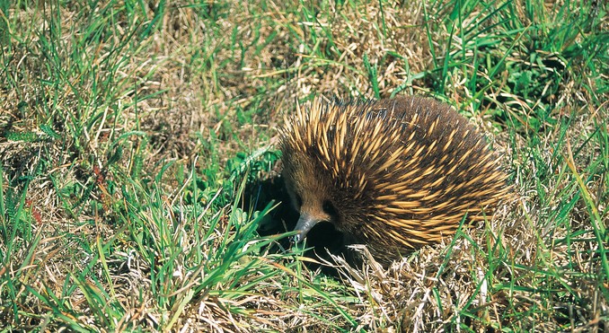 Tourism Tasmania and Geoff Murray