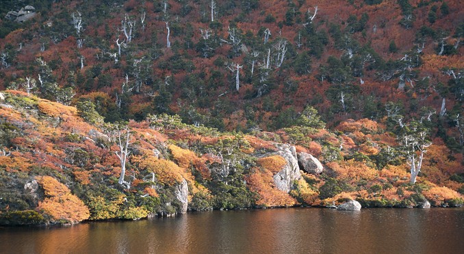Tourism Tasmania and Chris Crerar