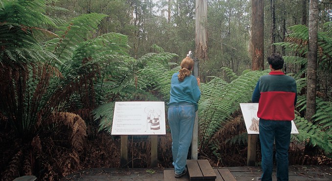 Tourism Tasmania and Geoffrey Lea