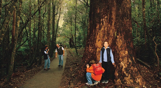Tourism Tasmania and Geoffrey Lea