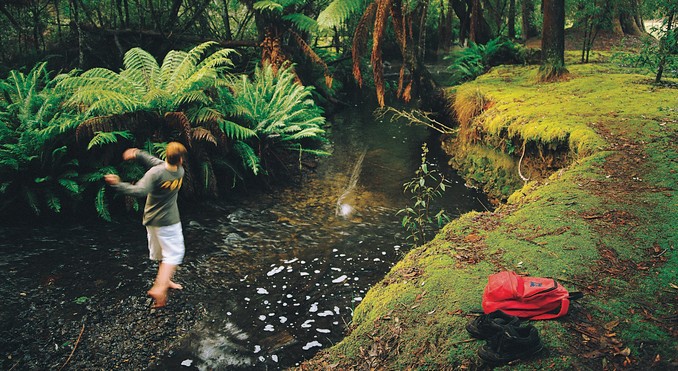 Tourism Tasmania and Geoffrey Lea