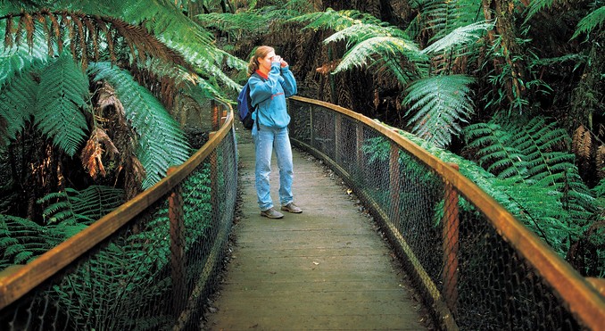 Tourism Tasmania and Geoffrey Lea