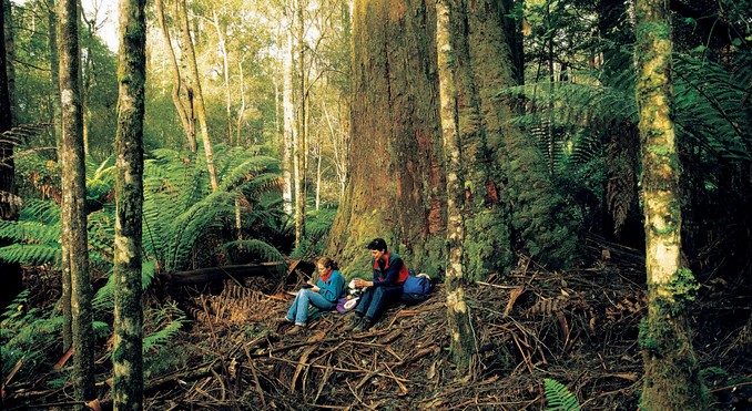Tourism Tasmania and Geoffrey Lea