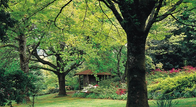 Image courtesy of Tourism Victoria