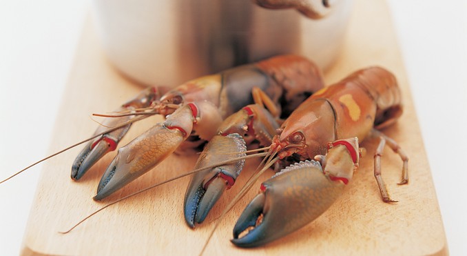 Image courtesy of Tourism Victoria