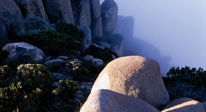 Image courtesy of Tourism Tasmania