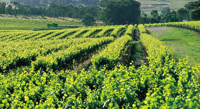 Image courtesy of Tourism New South Wales