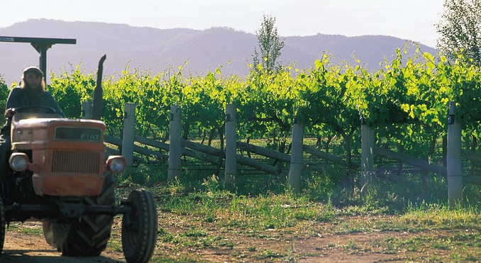Image courtesy of Tourism New South Wales