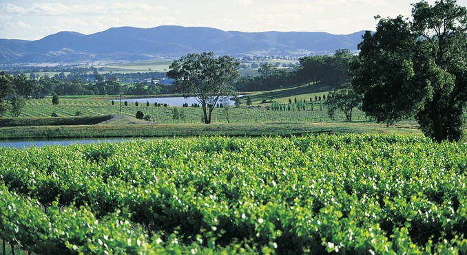 Image courtesy of Tourism New South Wales