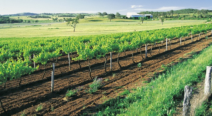 Image courtesy of Tourism New South Wales