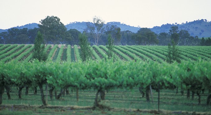 Image courtesy of Tourism New South Wales