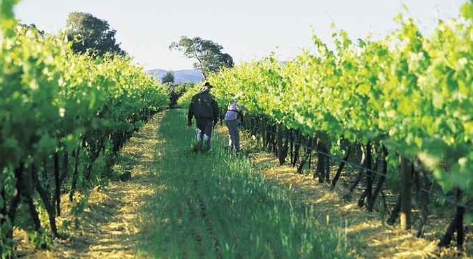 Image courtesy of Tourism New South Wales