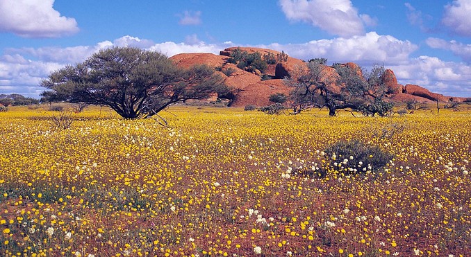 Image courtesy of Western Australia