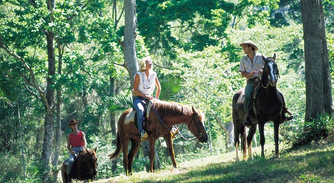 Image courtesy of Tourism New South Wales