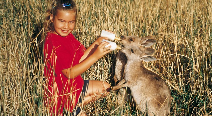 Image courtesy of Tourism New South Wales