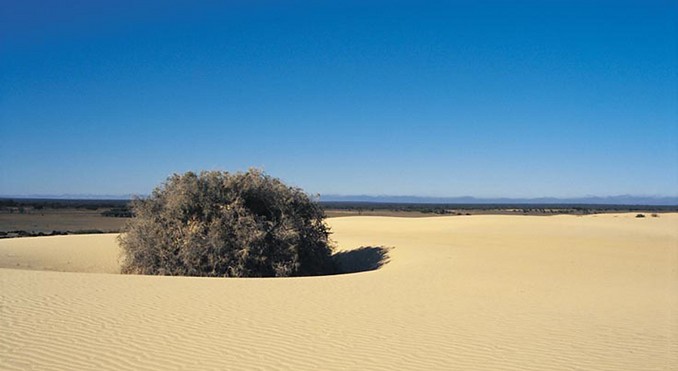 Image courtesy of Tourism New South Wales