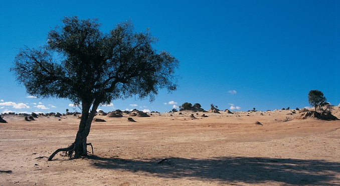 Image courtesy of Tourism New South Wales