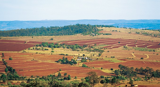 Image courtesy of Tourism Queensland