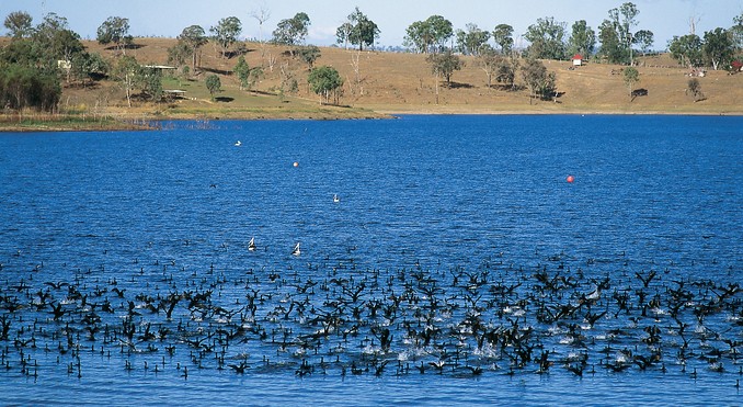 Image courtesy of Tourism Queensland