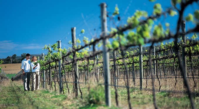Image courtesy of Tourism Queensland