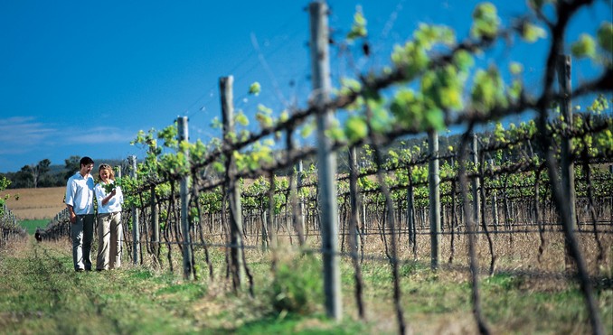 Image courtesy of Tourism Queensland