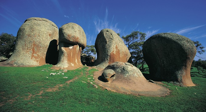 Image courtesy of South Australia