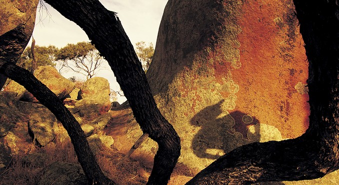 Image courtesy of South Australia