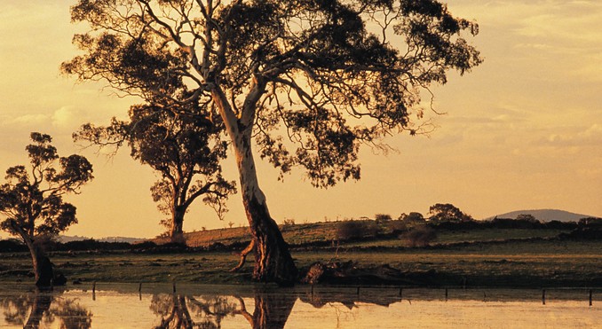 Image courtesy of Tourism Victoria