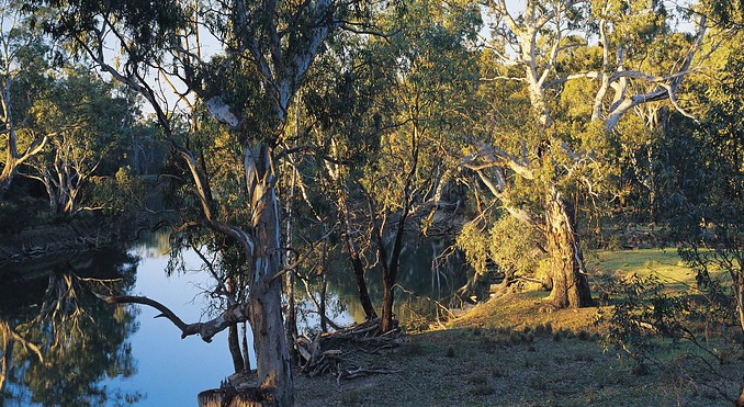 Image courtesy of Tourism Victoria