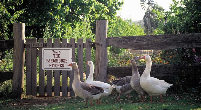 Image courtesy of Western Australia