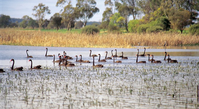 Image courtesy of South Australia
