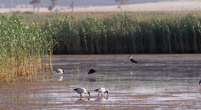 Image courtesy of South Australia