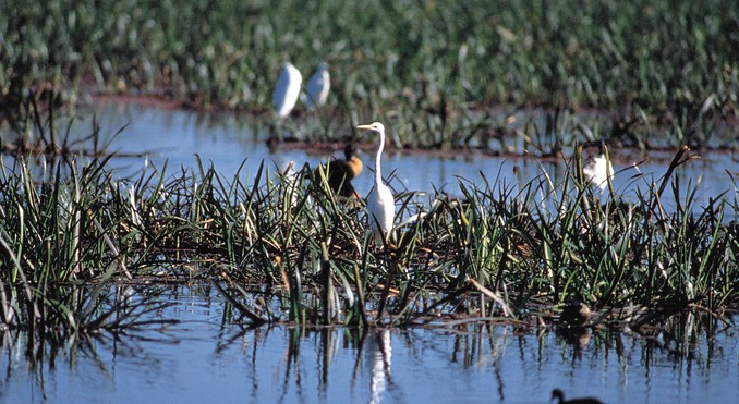 Image courtesy of South Australia
