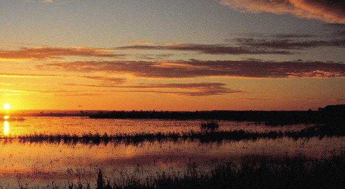 Naracoorte