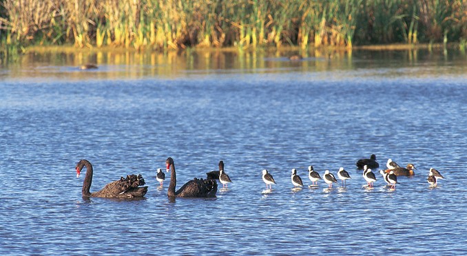Image courtesy of South Australia