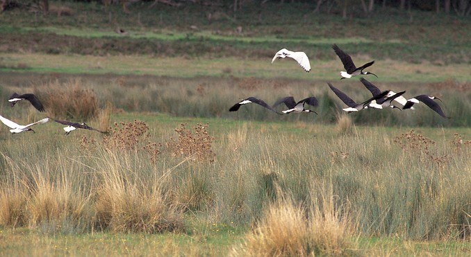 Image courtesy of South Australia