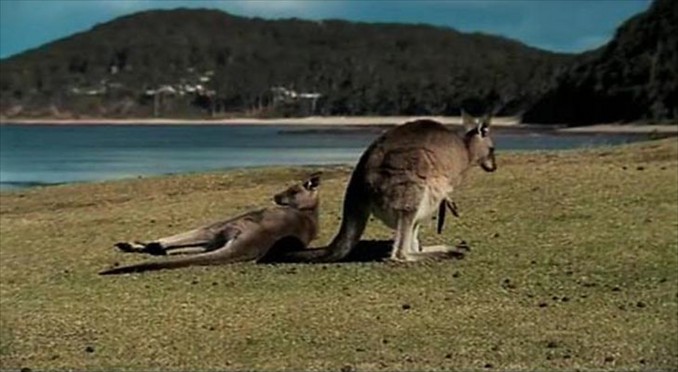 Image courtesy of Tourism New South Wales