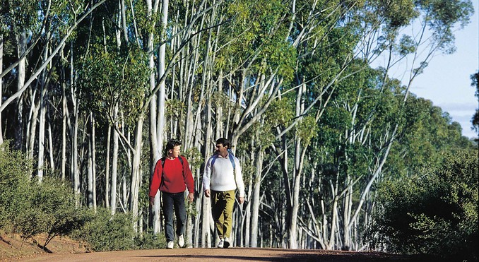 Image courtesy of Western Australia