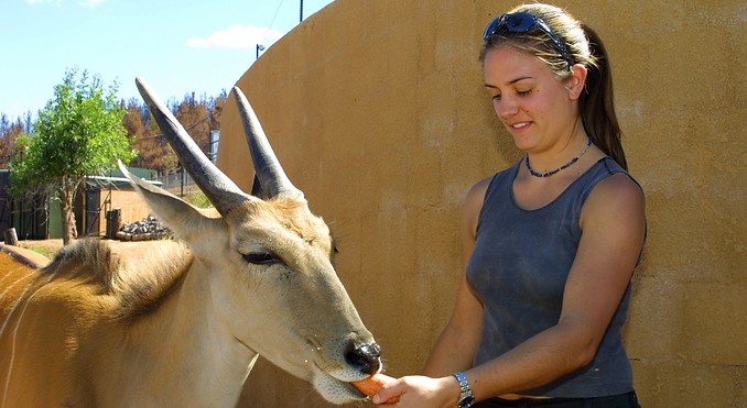 Image courtesy of ACT Tourism