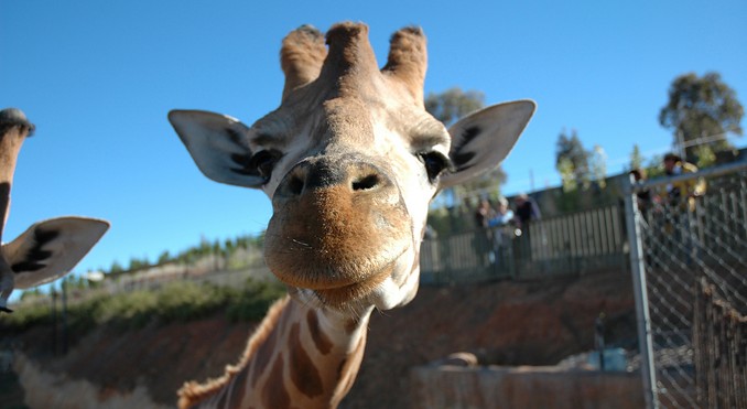 Image courtesy of ACT Tourism