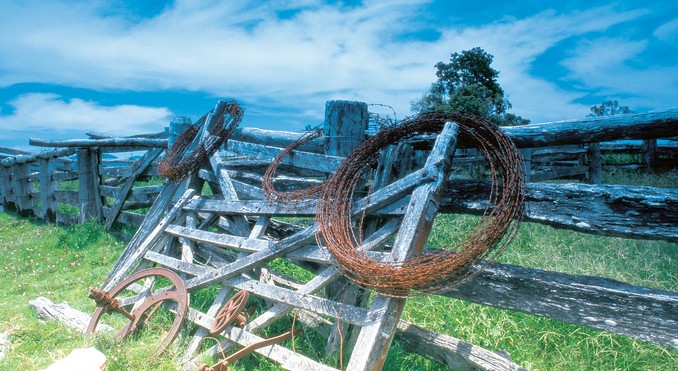 Image courtesy of Tourism Queensland