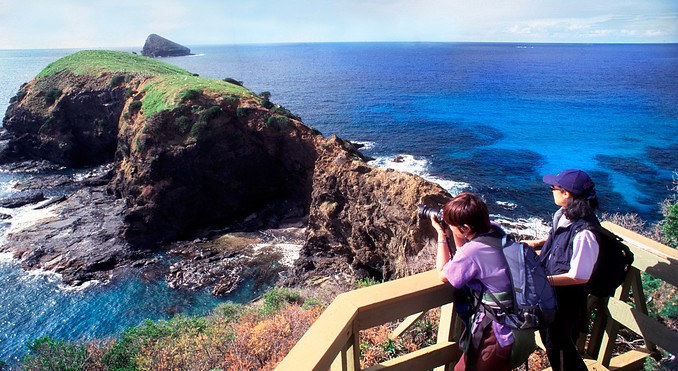 Grahame McConnell - Lord Howe Island Tourism