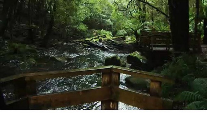 Image courtesy of Tourism Tasmania