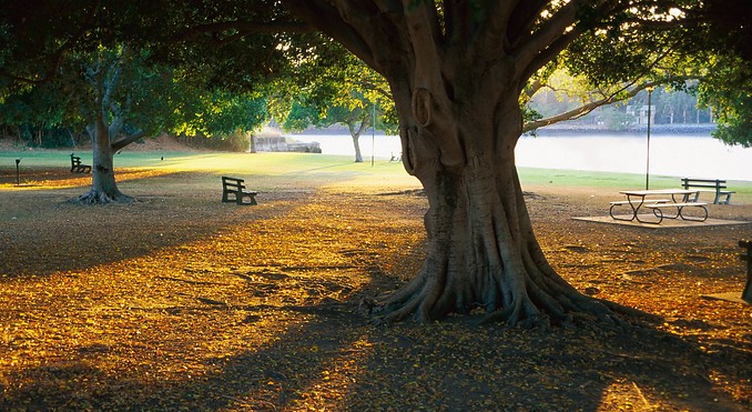 Image courtesy of Tourism Queensland