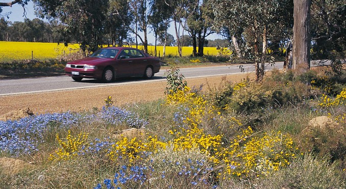 Image courtesy of Western Australia