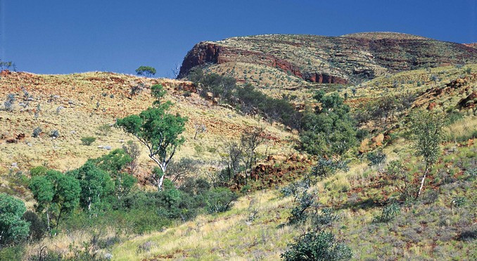 Image courtesy of Western Australia